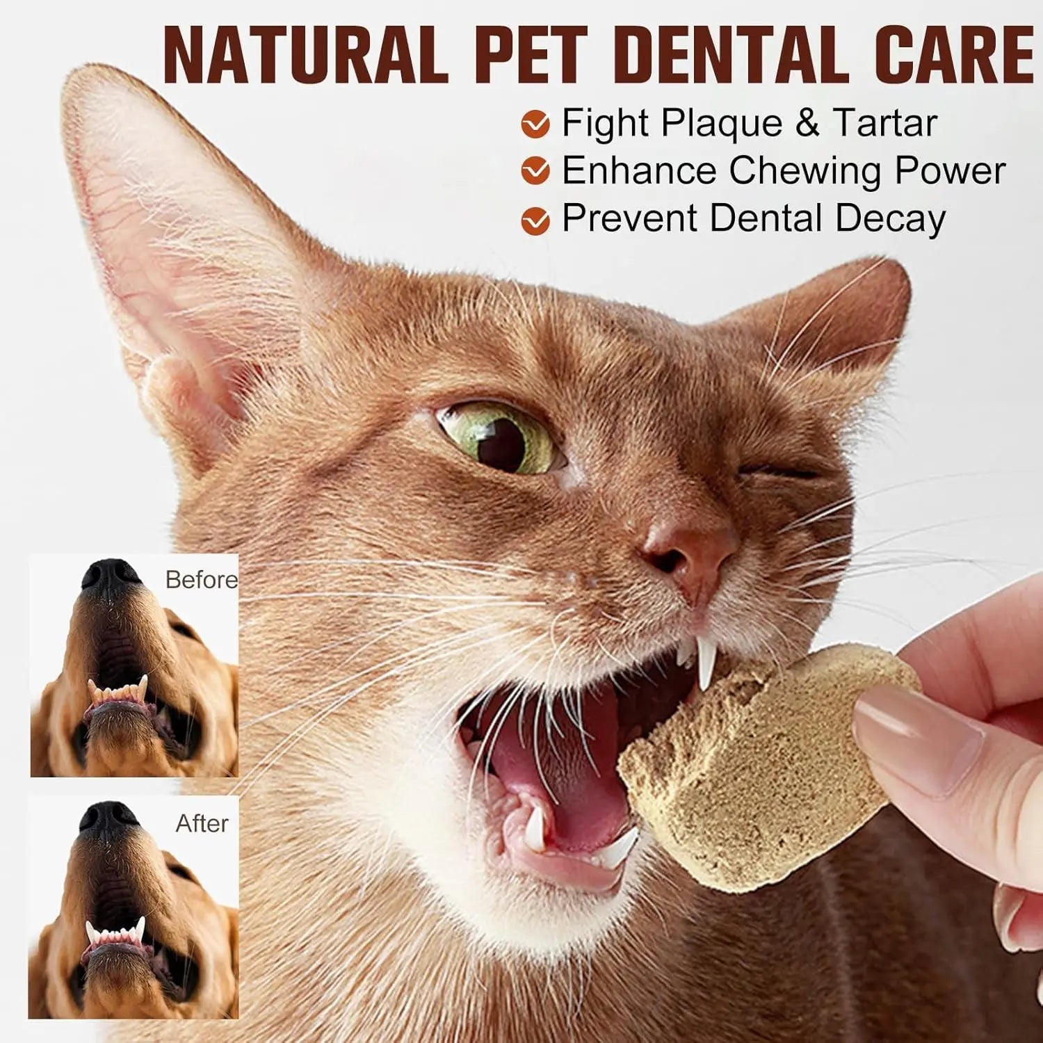 Freeze Dried Chicken Salmon Dog Cat Treats 98% Meat Grain Free