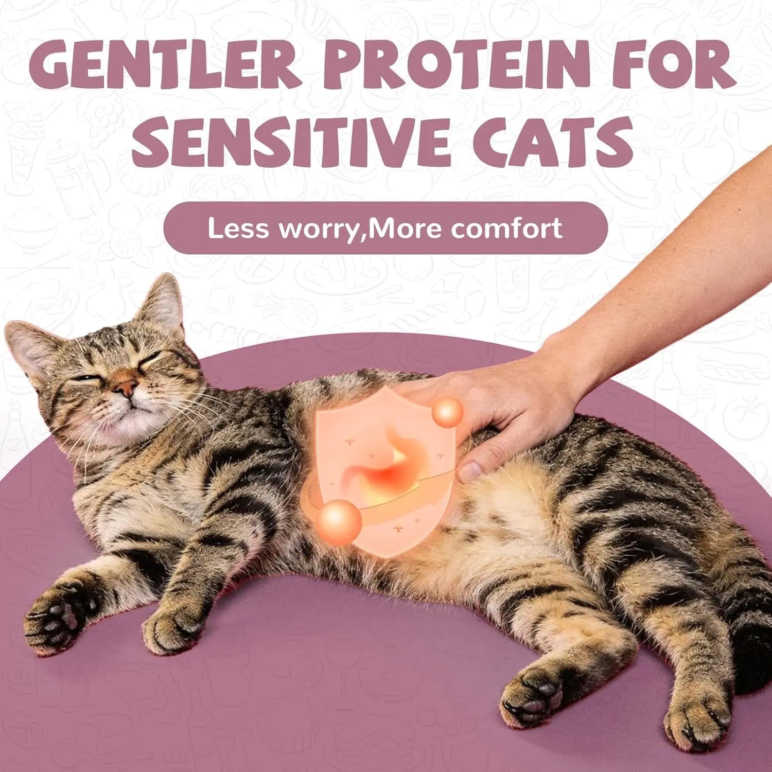 Freeze Dried Duck Dog & Cat Treats High Protein Grain Free Raw Food Topper 4.6oz