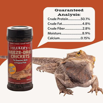 Freeze Dried Insects 1.2oz Crickets Shrimp Grasshoppers- Reptile & Bird Treat