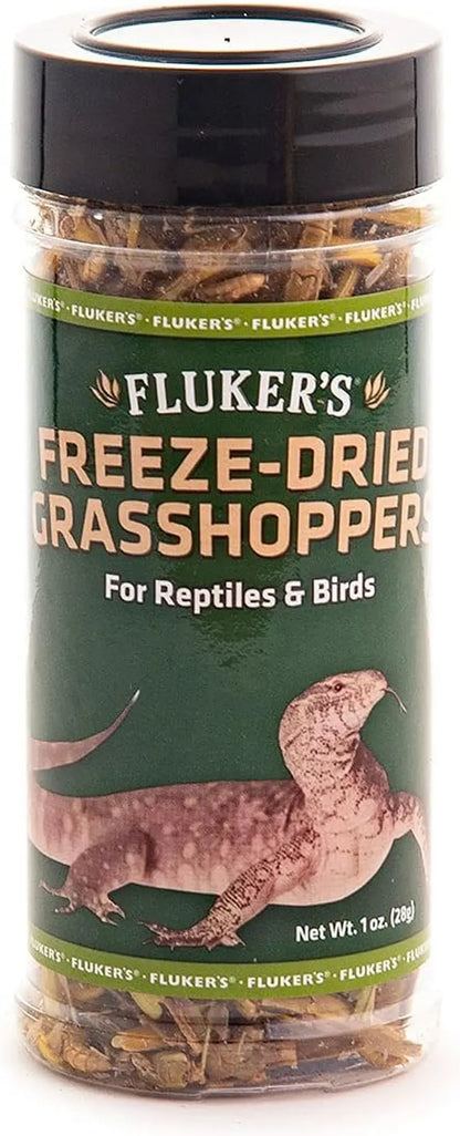 Freeze Dried Insects 1.2oz Crickets Shrimp Grasshoppers- Reptile & Bird Treat Grasshoppers, 1Oz