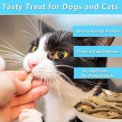 Freeze Dried Minnows Dog & Cat Treats 4oz 6.5oz 100% Natural