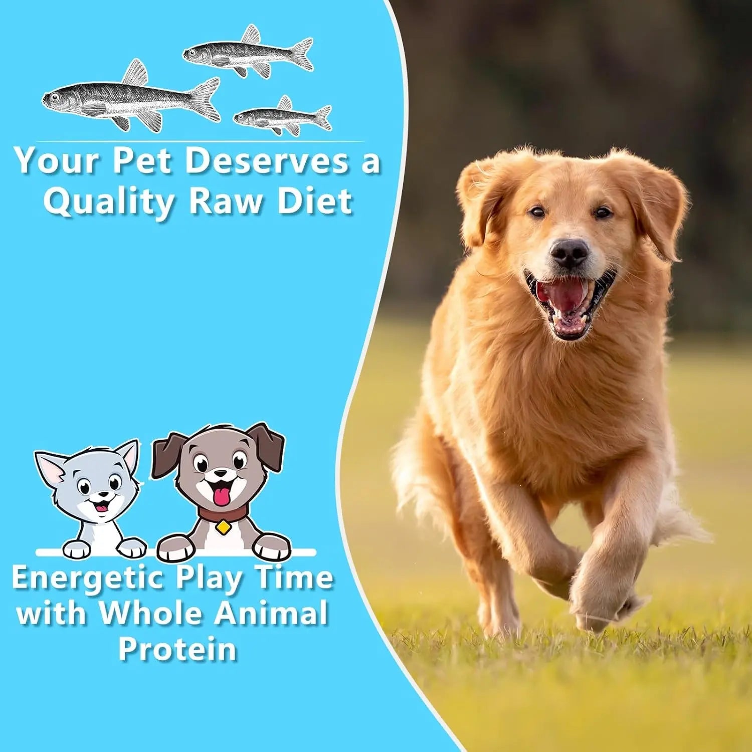 Freeze Dried Minnows Dog & Cat Treats 4oz 6.5oz 100% Natural