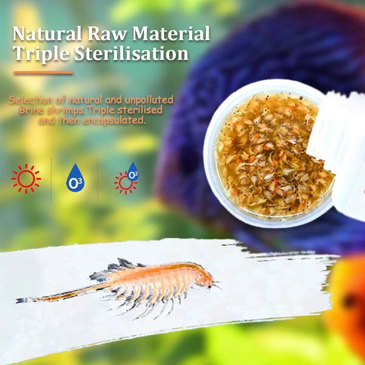 Fresh Brine Shrimp Fish Food Adult 1in+ Tropical Saltwater