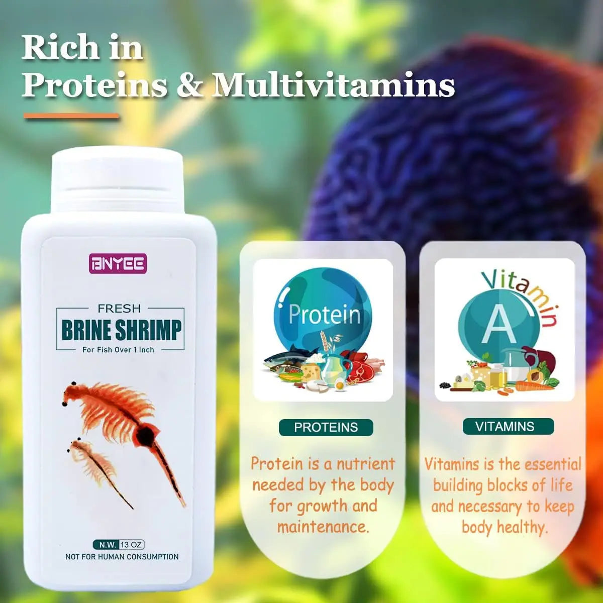 Fresh Brine Shrimp Fish Food Adult 1in+ Tropical Saltwater
