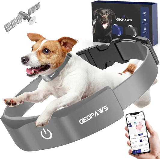 GPS Wireless Dog Fence Smart App Control Training Collar Adjustable Waterproof Grey
