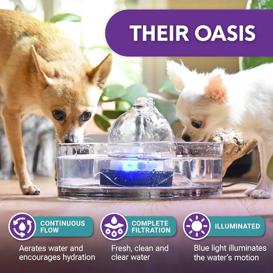 Glass Pet Fountain 90Oz – Automatic Small Dog & Cat Water Fountain