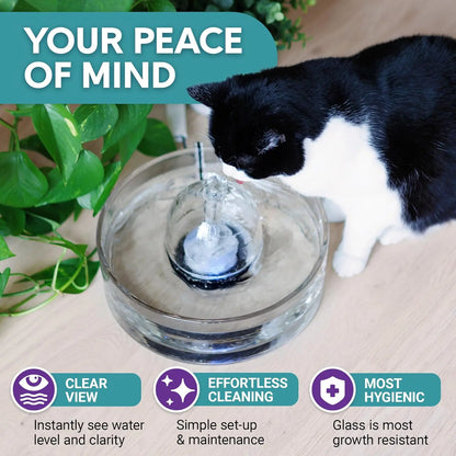 Glass Pet Fountain 90Oz – Automatic Small Dog & Cat Water Fountain