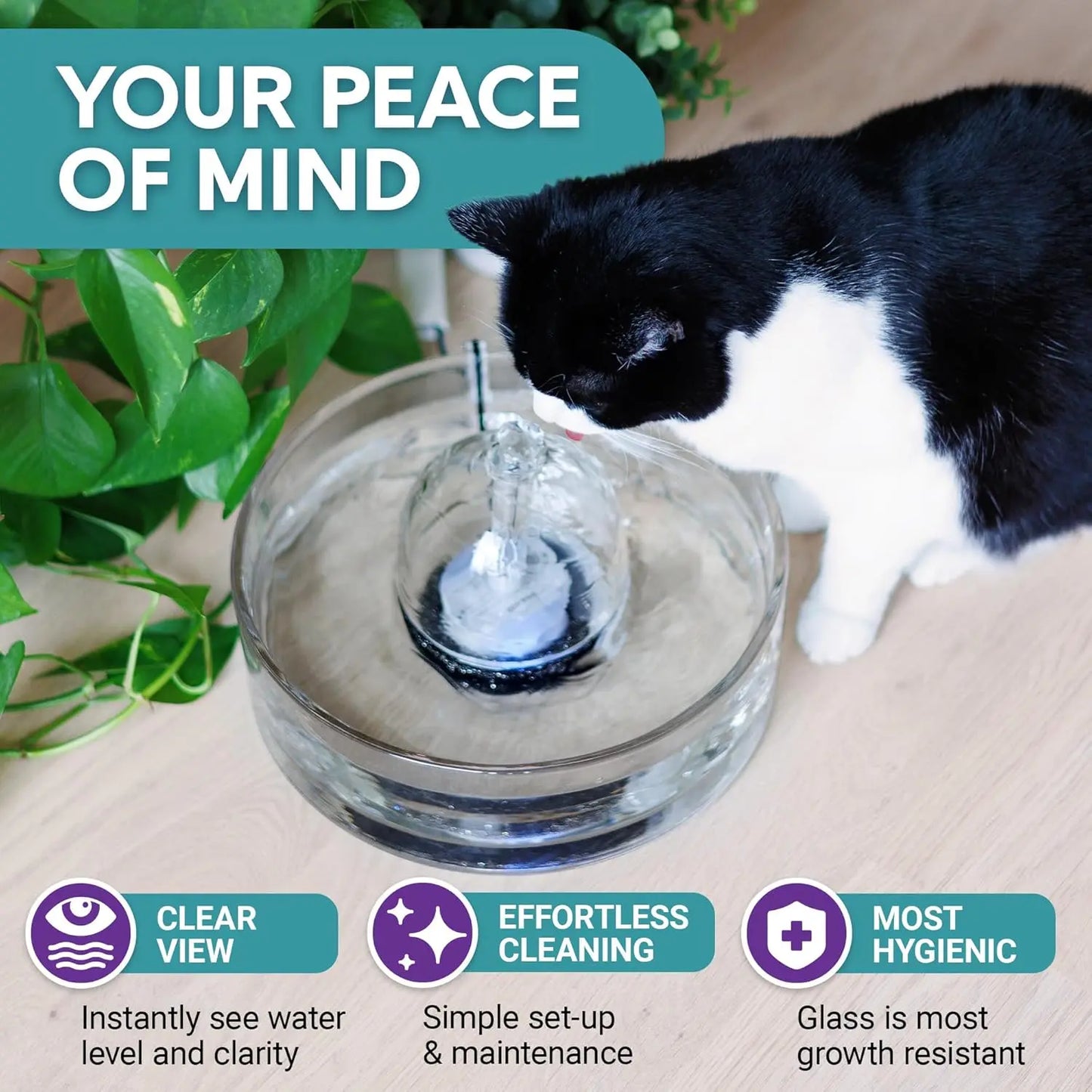 Glass Pet Water Fountain – Modern Hydration for Cats & Small Dogs