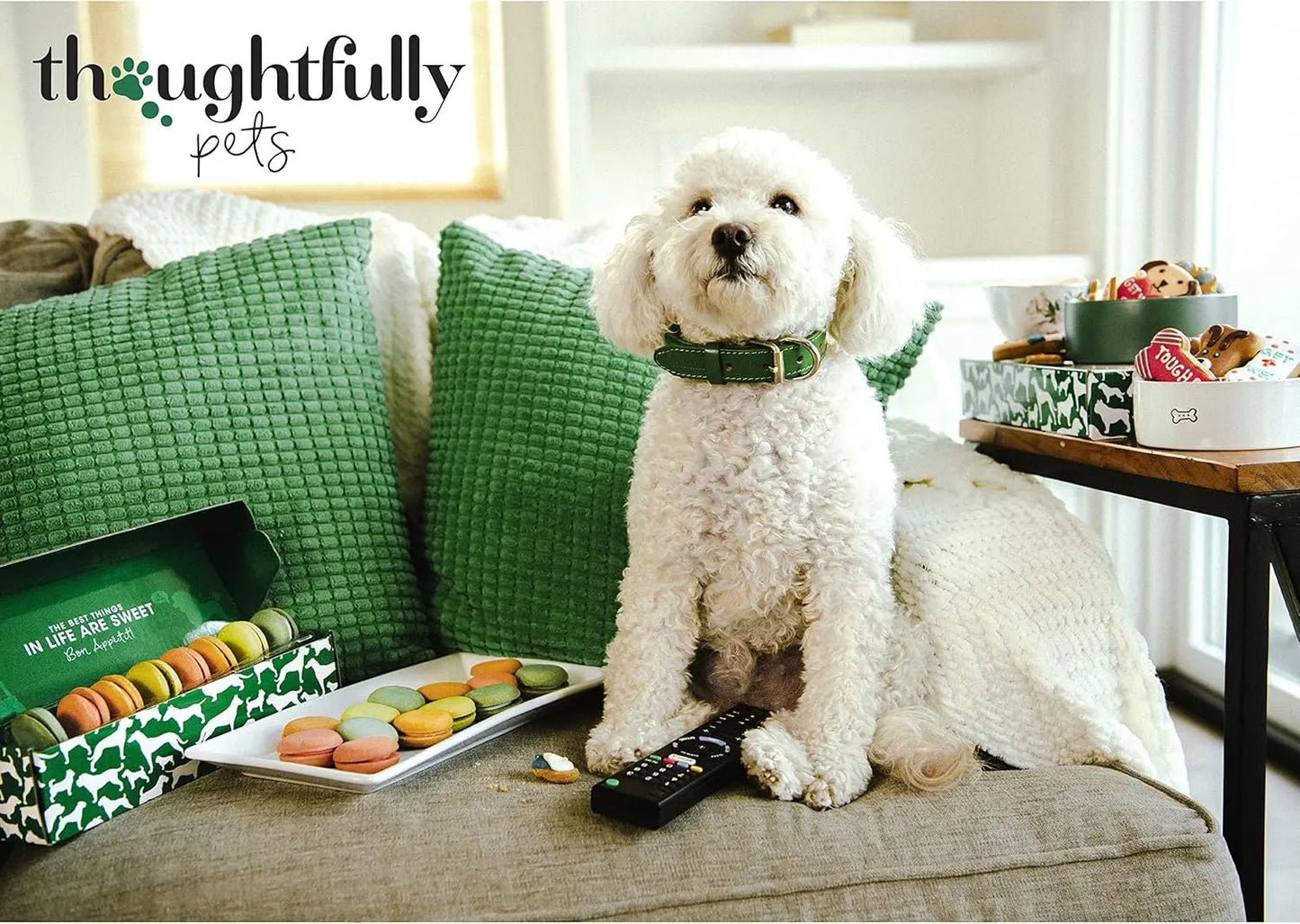 Gourmet Holiday Dog Cookies Gift Set | 8 Hand-Decorated Human-Grade Biscuits