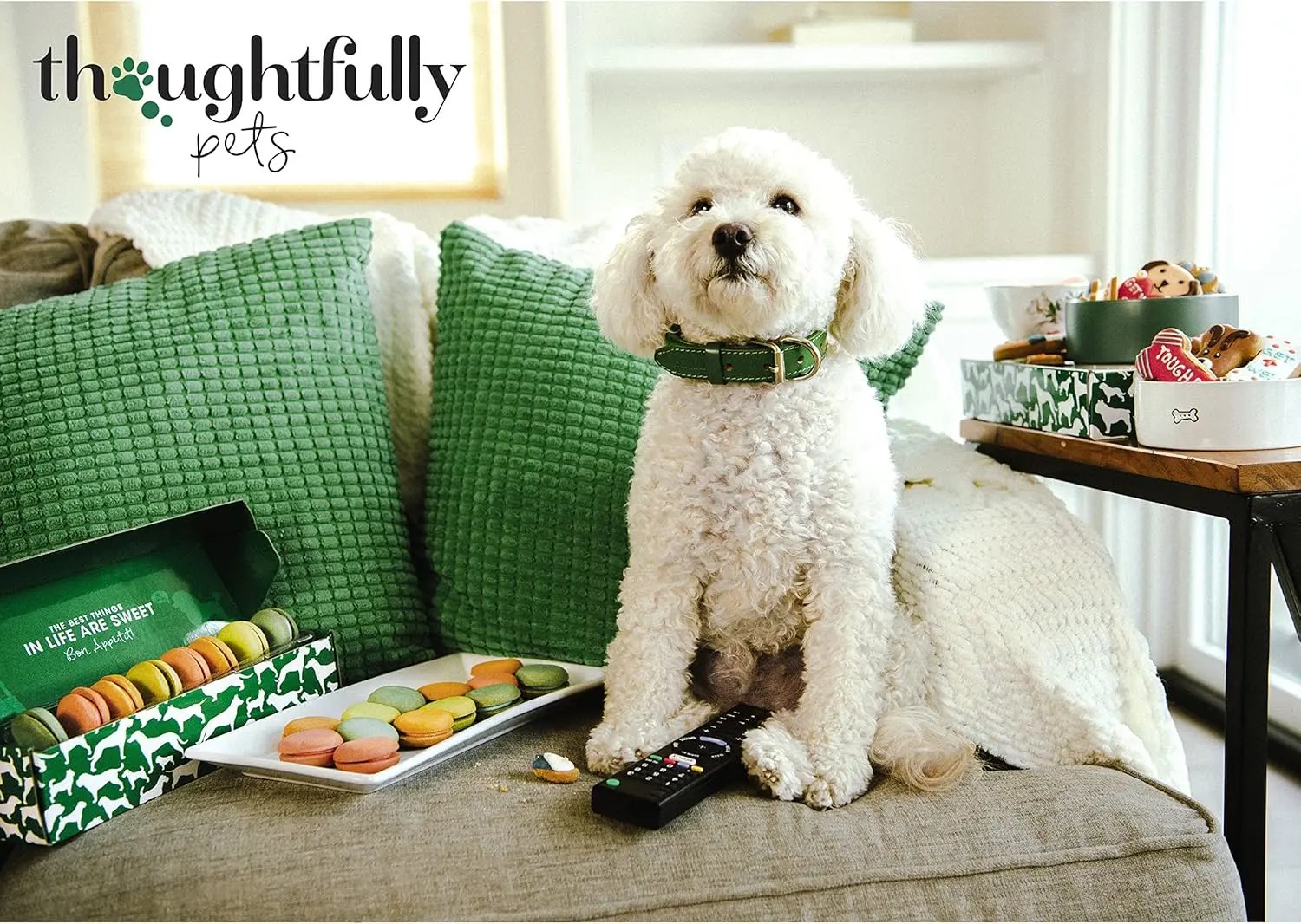 Gourmet Holiday Dog Cookies Gift Set | 8 Hand-Decorated Human-Grade Biscuits