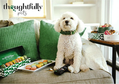 Gourmet Holiday Dog Cookies Gift Set | 8 Hand-Decorated Human-Grade Biscuits