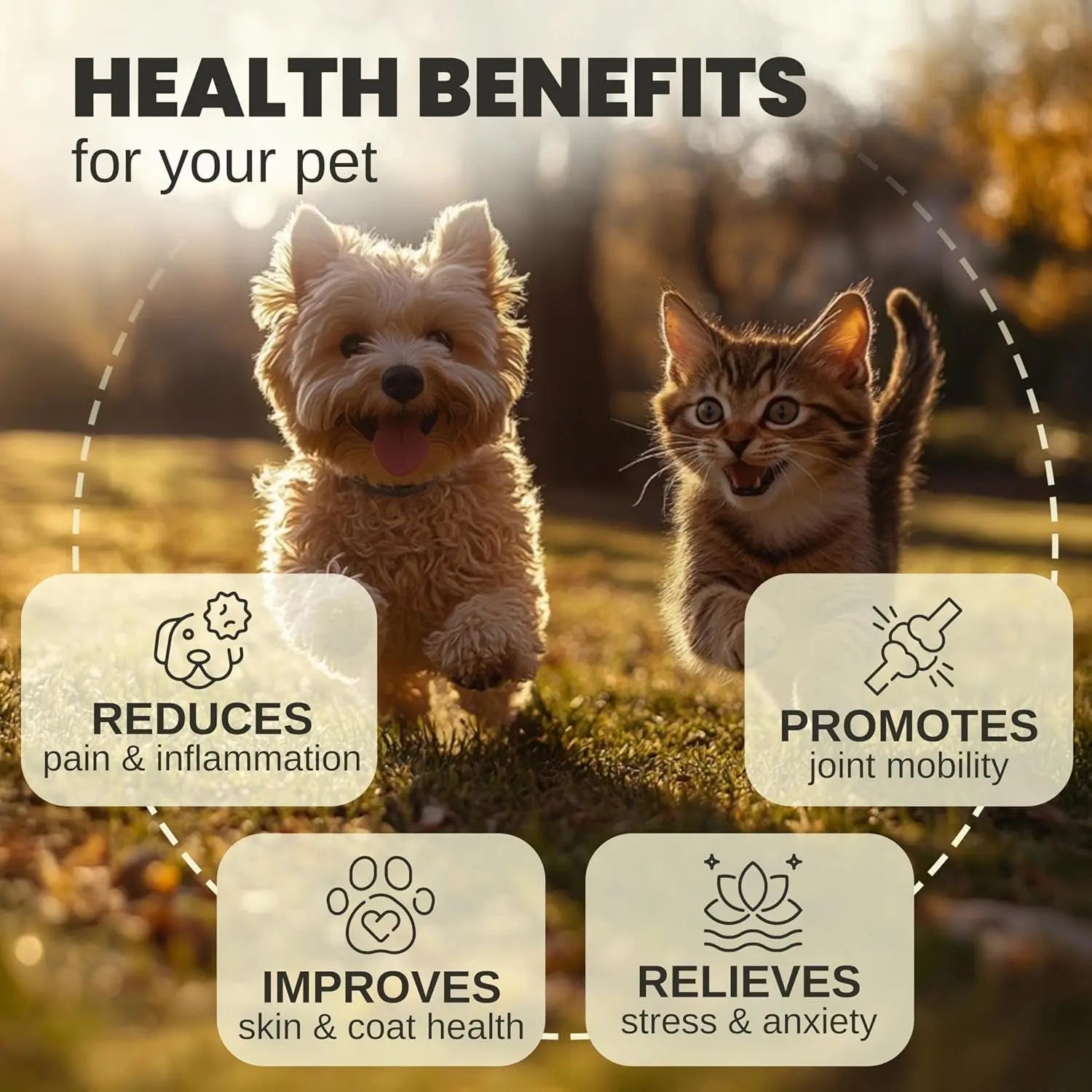 Hemp Oil Calming Drops for Dogs & Cats – Anxiety, Pain & Joint Support