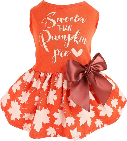 Holiday & Birthday Cotton Dog Dress, Outfit with Bow, Cat & Small Dog Apparel Sweeter Than Pumpkin Pie