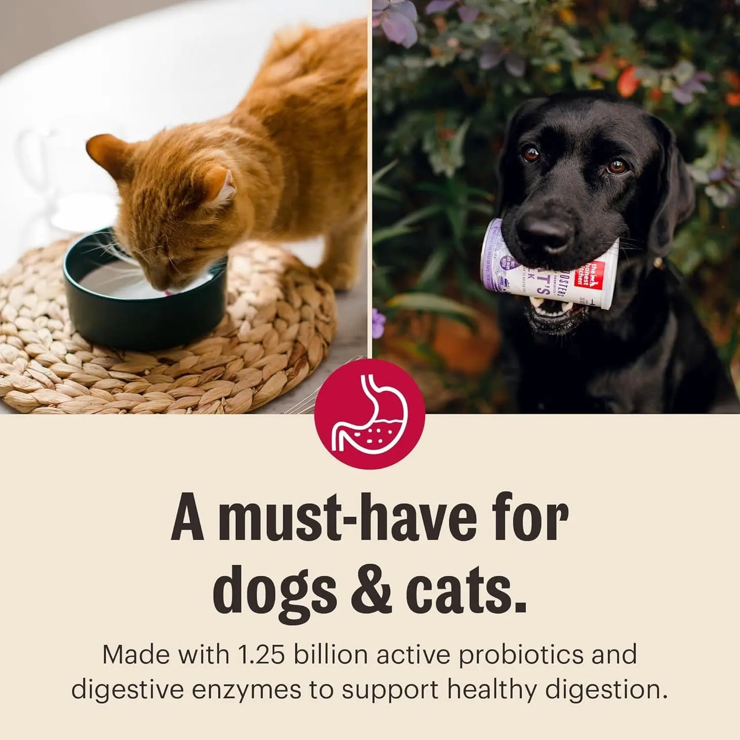 Honest Kitchen Goat Milk Powder Probiotics for Dogs & Cats 5.2oz