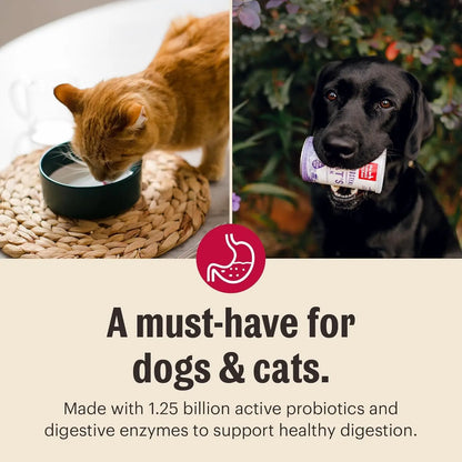 Honest Kitchen Goat Milk Powder Probiotics for Dogs & Cats 5.2oz