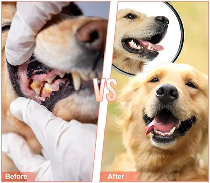 Indestructible Dog Shoe Chew Toy for Aggressive Chewers Rubber