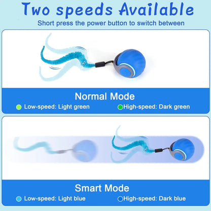 Interactive Cat Toy Ball Automatic Rechargeable 2-Speed Chasing Toy with Tails