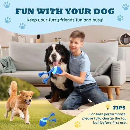 Interactive Motion Activated Dog Ball Rechargeable for Large Dogs