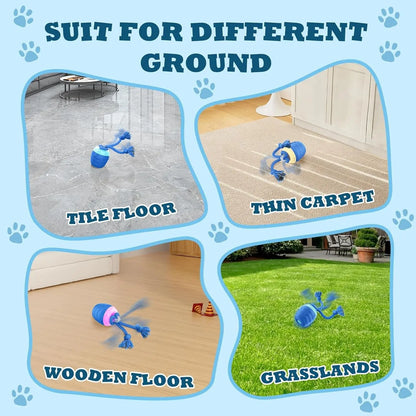 Interactive Motion Activated Dog Ball Rechargeable for Large Dogs