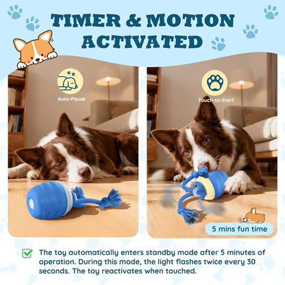 Interactive Motion Activated Dog Ball Rechargeable for Large Dogs