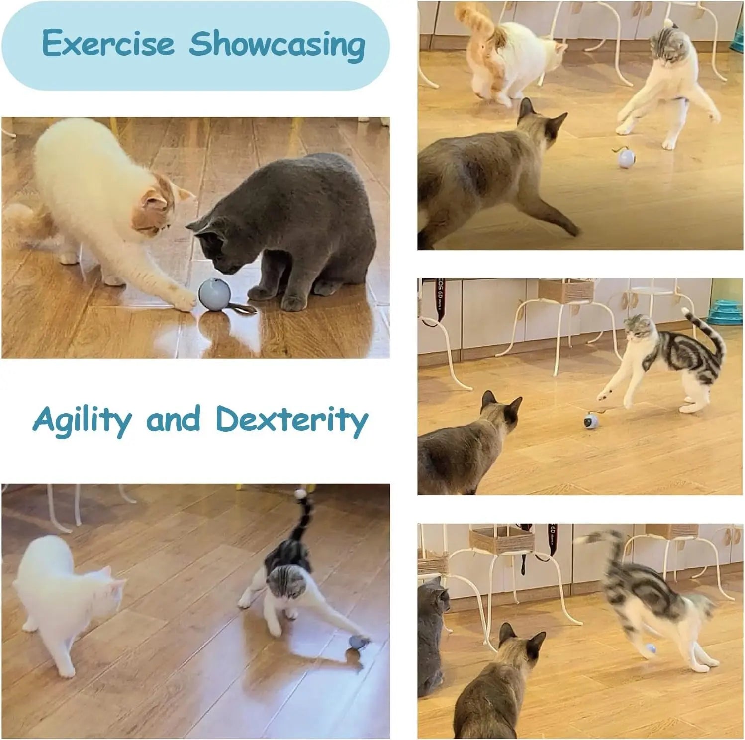 Interactive Rechargeable Cat Chase Ball Toy w/ Tail & Mouse Automatic Rolling