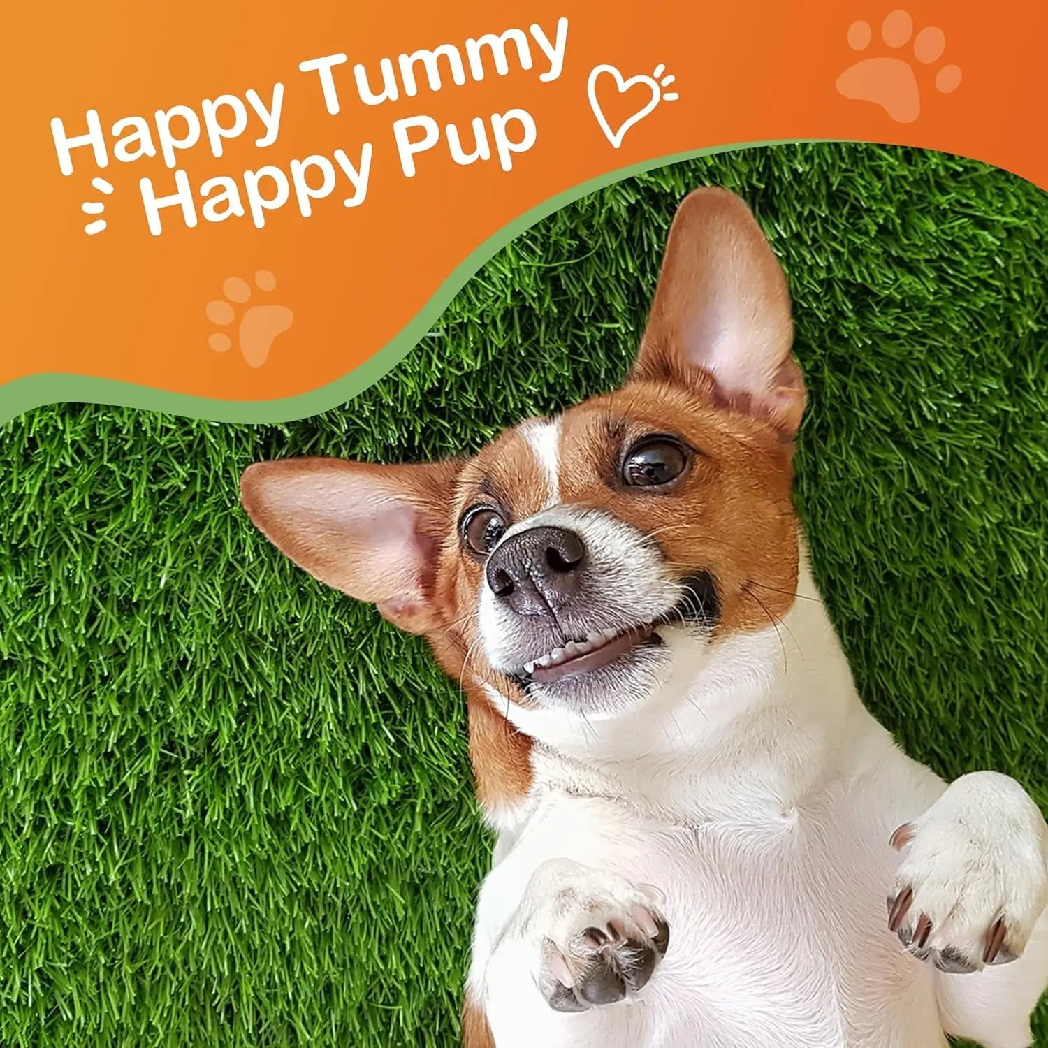 Kaolin Pectin Probiotic Paste for Dogs & Cats – Digestive Support Anti-Diarrhea