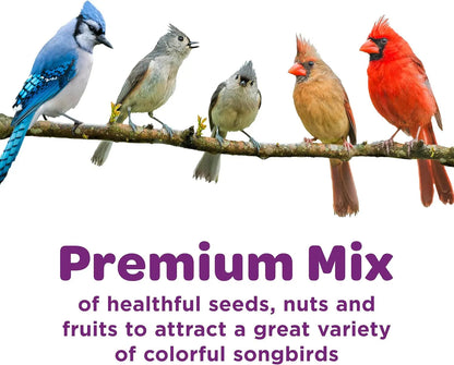 Kaytee Nut & Fruit Wild Bird Seed Blend, 5 lb – Premium Songbird Food Mix