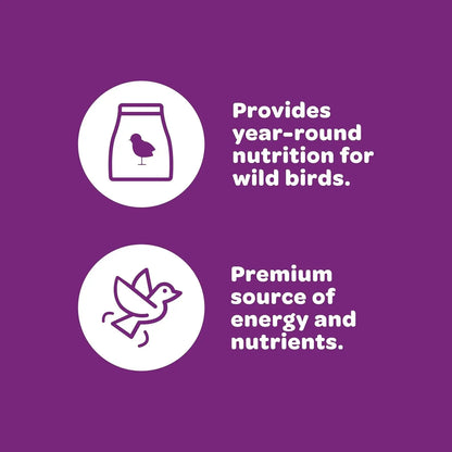 Kaytee Nut & Fruit Wild Bird Seed Blend, 5 lb – Premium Songbird Food Mix