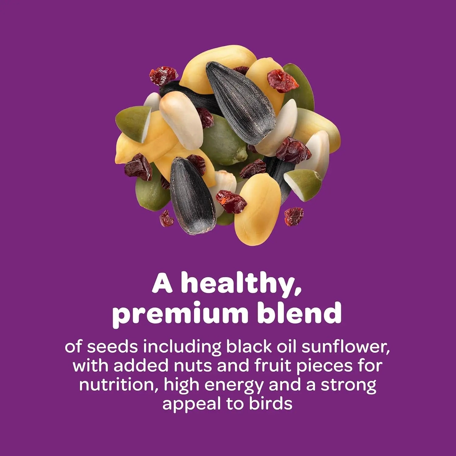 Kaytee Nut & Fruit Wild Bird Seed Blend, 5 lb – Premium Songbird Food Mix