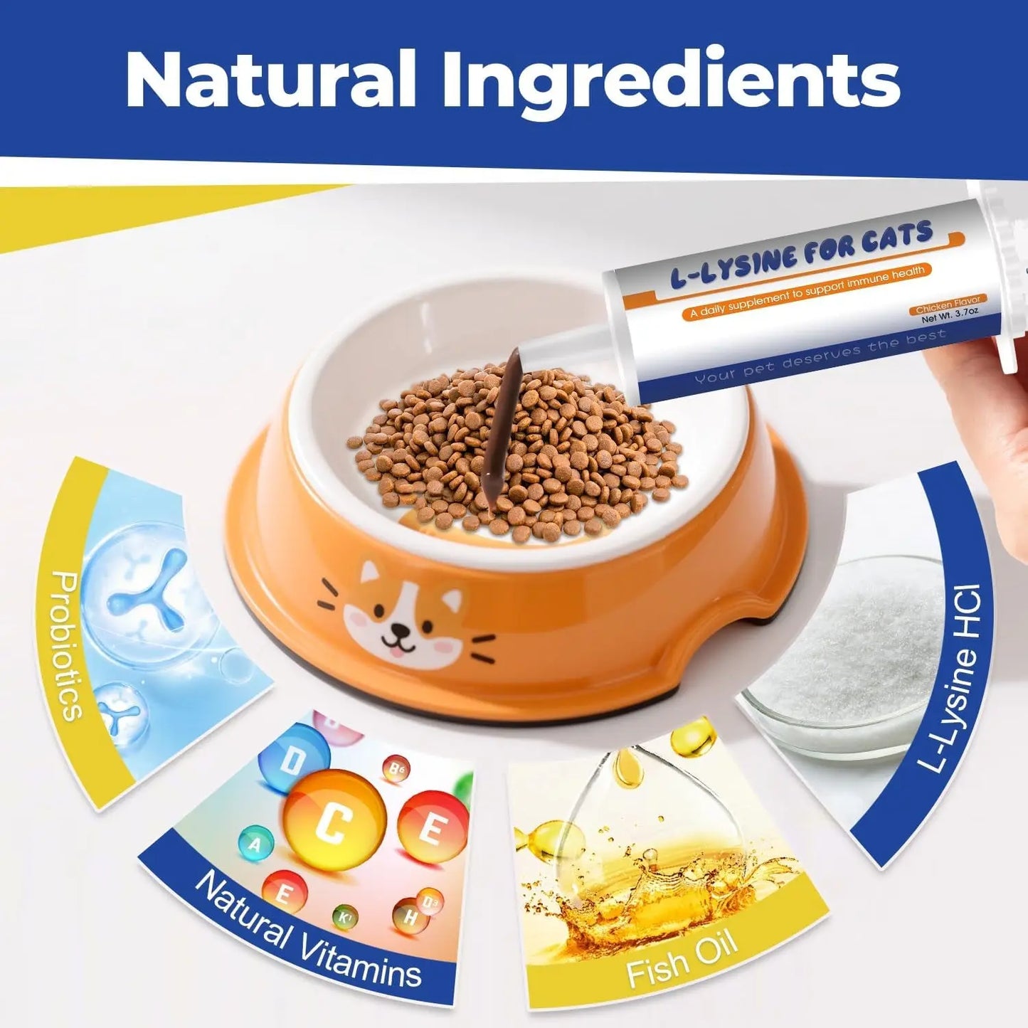 L-Lysine Cat Supplement Oral Gel 3.7 oz – Immune & Respiratory Support