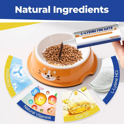 L-Lysine Cat Supplement Oral Gel 3.7 oz – Immune & Respiratory Support