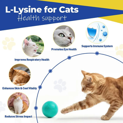 L-Lysine Cat Supplement Oral Gel 3.7 oz – Immune & Respiratory Support