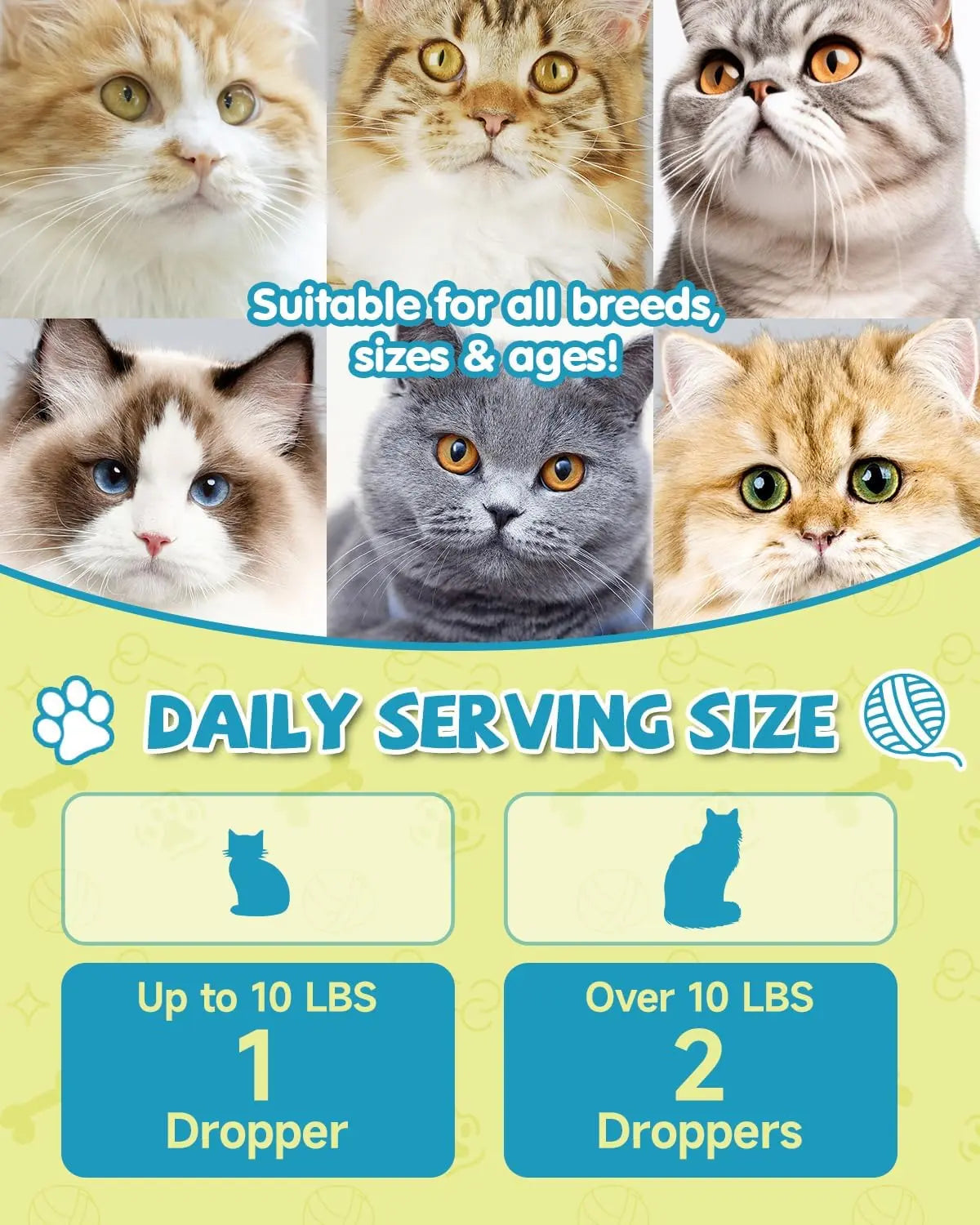 L-Lysine Liquid Drops for Cats Immune & Respiratory Support 2oz Chicken