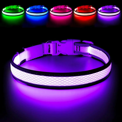 LED Dog Collar USB Rechargeable Light Up Safety Collar - All Colors/ Sizes Purple