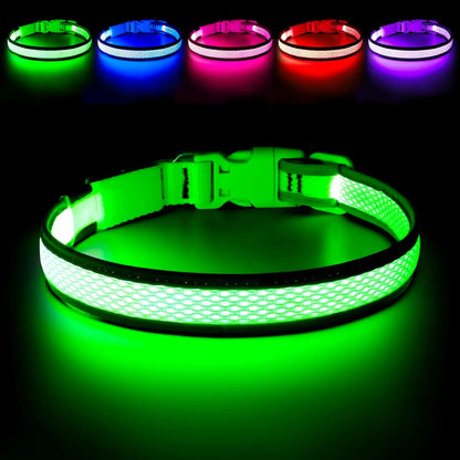 LED Dog Collar USB Rechargeable Light Up Safety Collar - All Colors/ Sizes Green