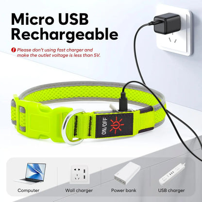 LED Dog Collar USB Rechargeable Light Up Safety Collar - All Colors/ Sizes