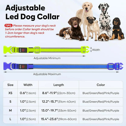 LED Dog Collar USB Rechargeable Light Up Safety Collar - All Colors/ Sizes
