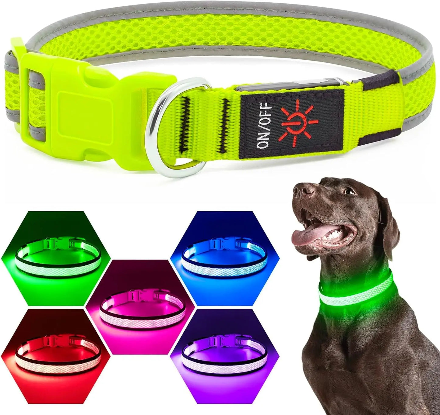 LED Dog Collar USB Rechargeable Light Up Safety Collar - All Colors/ Sizes