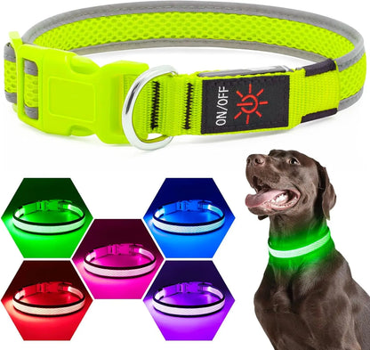 LED Dog Collar USB Rechargeable Light Up Safety Collar - All Colors/ Sizes
