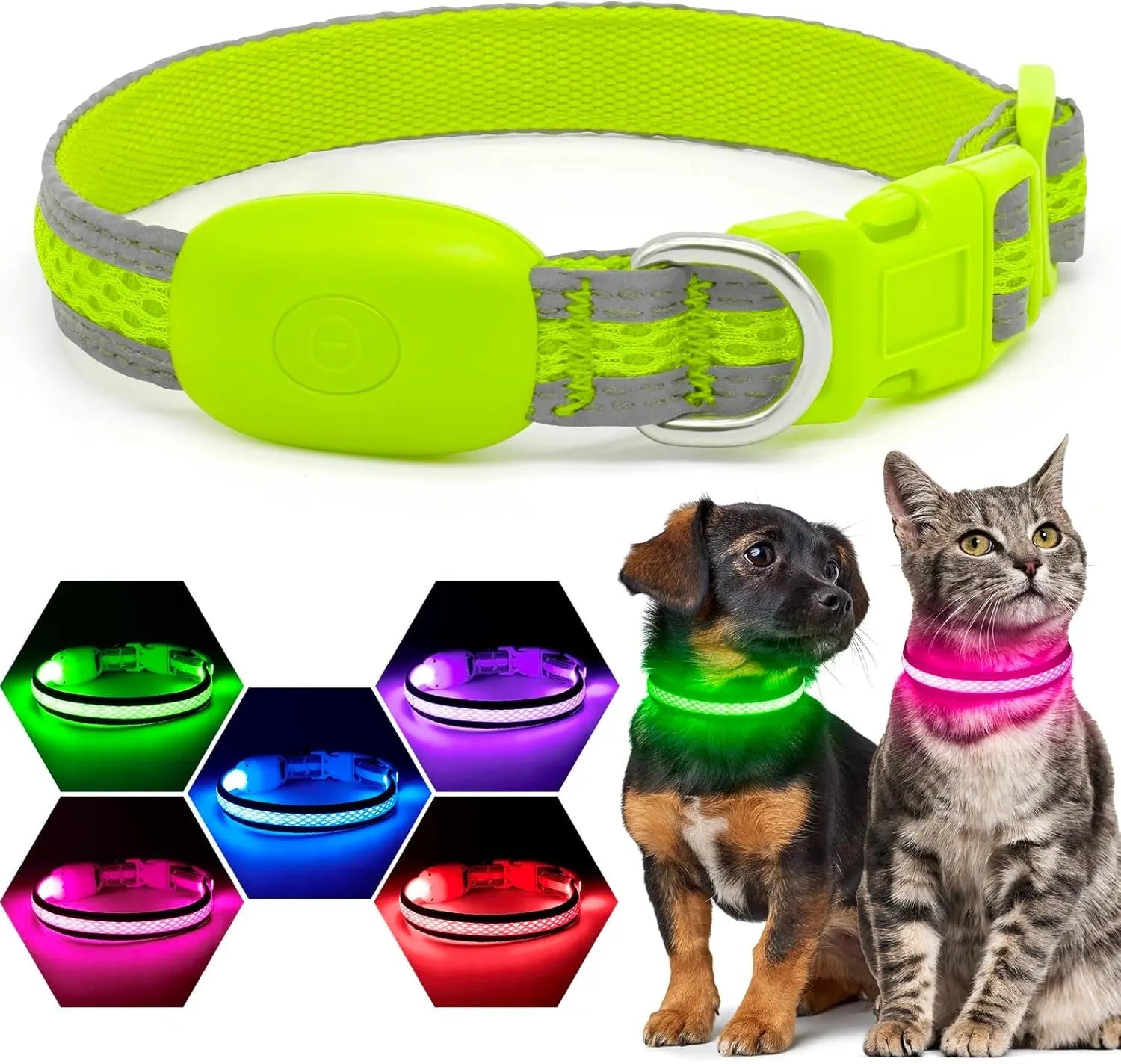 LED Dog Collar USB Rechargeable Light Up Safety Collar - All Colors/ Sizes