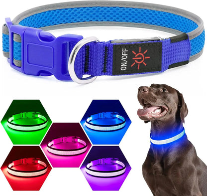 LED Dog Collar USB Rechargeable Light Up Safety Collar - All Colors/ Sizes Blue Medium