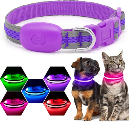 LED Dog Collar USB Rechargeable Light Up Safety Collar - All Colors/ Sizes Purple Xs