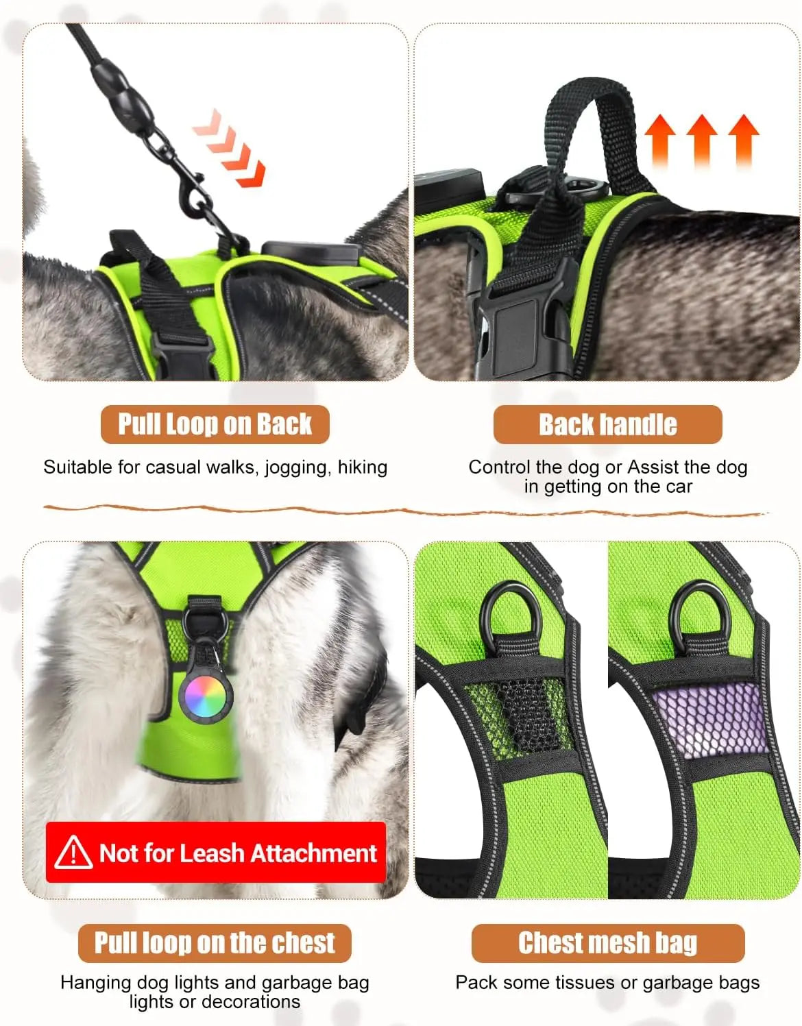 Light-Up LED Dog Harness – Rechargeable No-Pull Vest for Night Walking