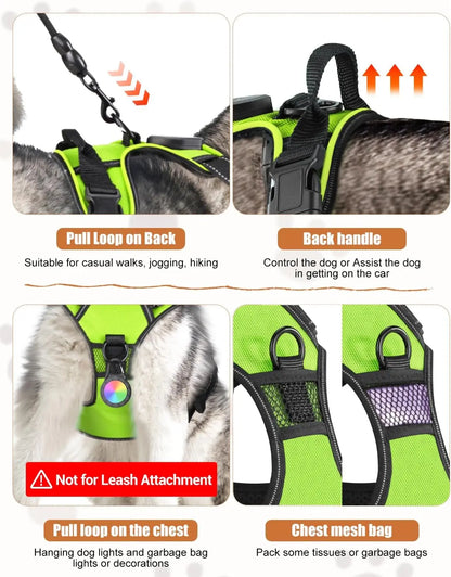 Light-Up LED Dog Harness – Rechargeable No-Pull Vest for Night Walking
