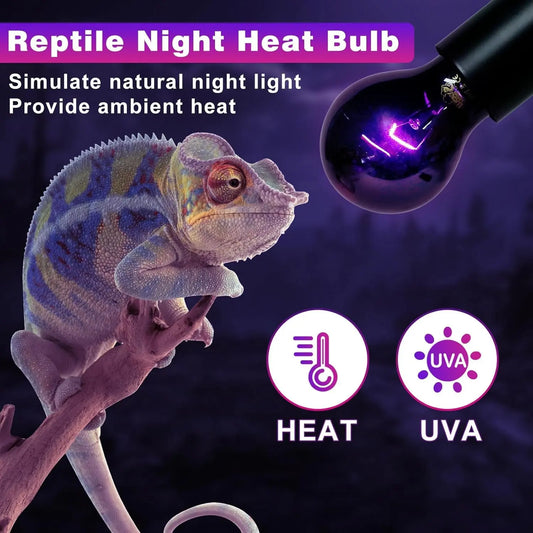 LUCKY HERP Reptile Night Heat Bulb 2 Pack 50W/75W UVA Heat Lamp E26