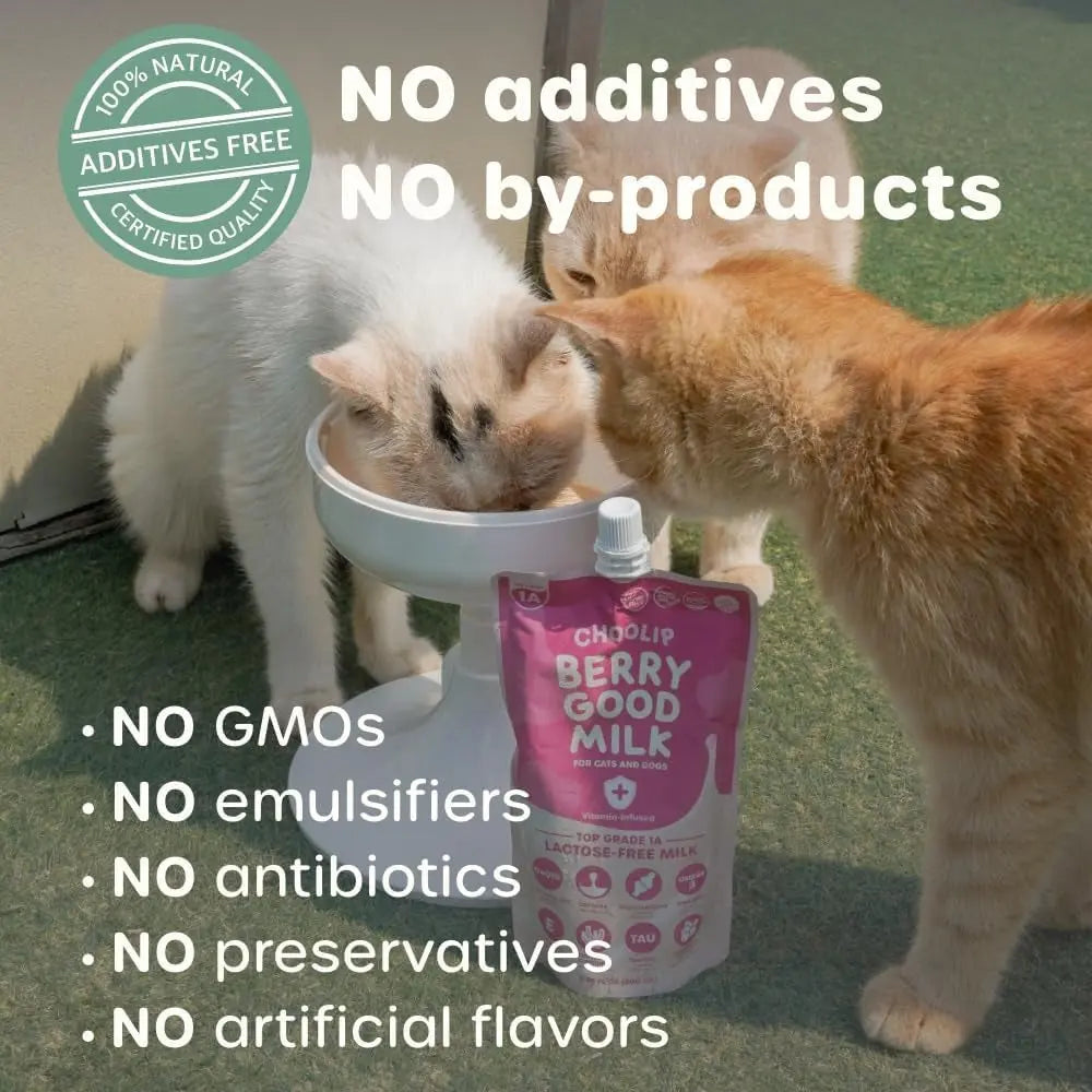 Lactose-Free Vitamin Milk for Cats & Dogs, 10-Pack Pet Nutrition Drink