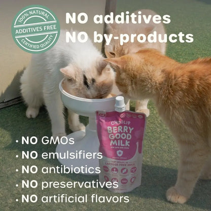 Lactose-Free Vitamin Milk for Cats & Dogs, 10-Pack Pet Nutrition Drink