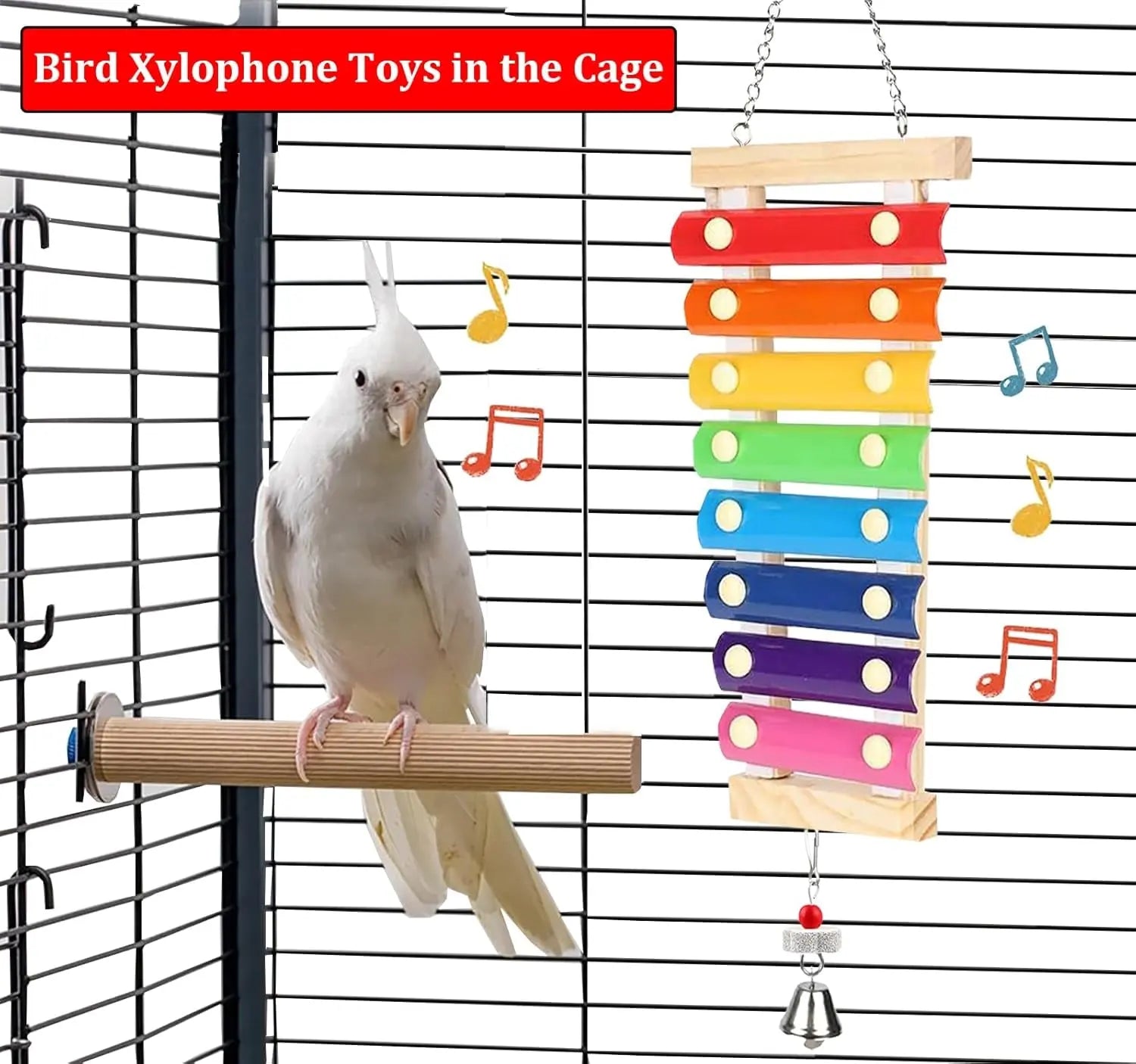 Large Parrot Xylophone Toy – Wooden Chew Toy with Grinding Stone for Birds