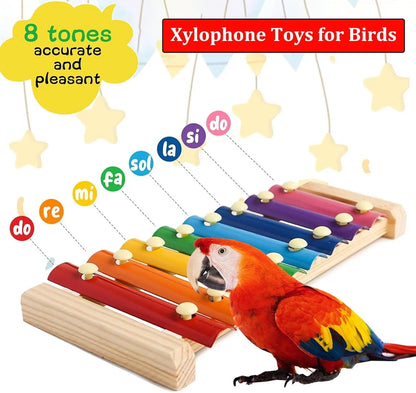 Large Parrot Xylophone Toy – Wooden Chew Toy with Grinding Stone for Birds