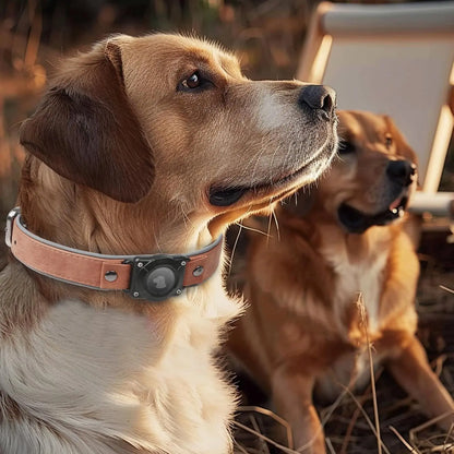Leather AirTag Dog Collar, Water-Resistant, Reflective, Adjustable, Built-In AirTag Holder